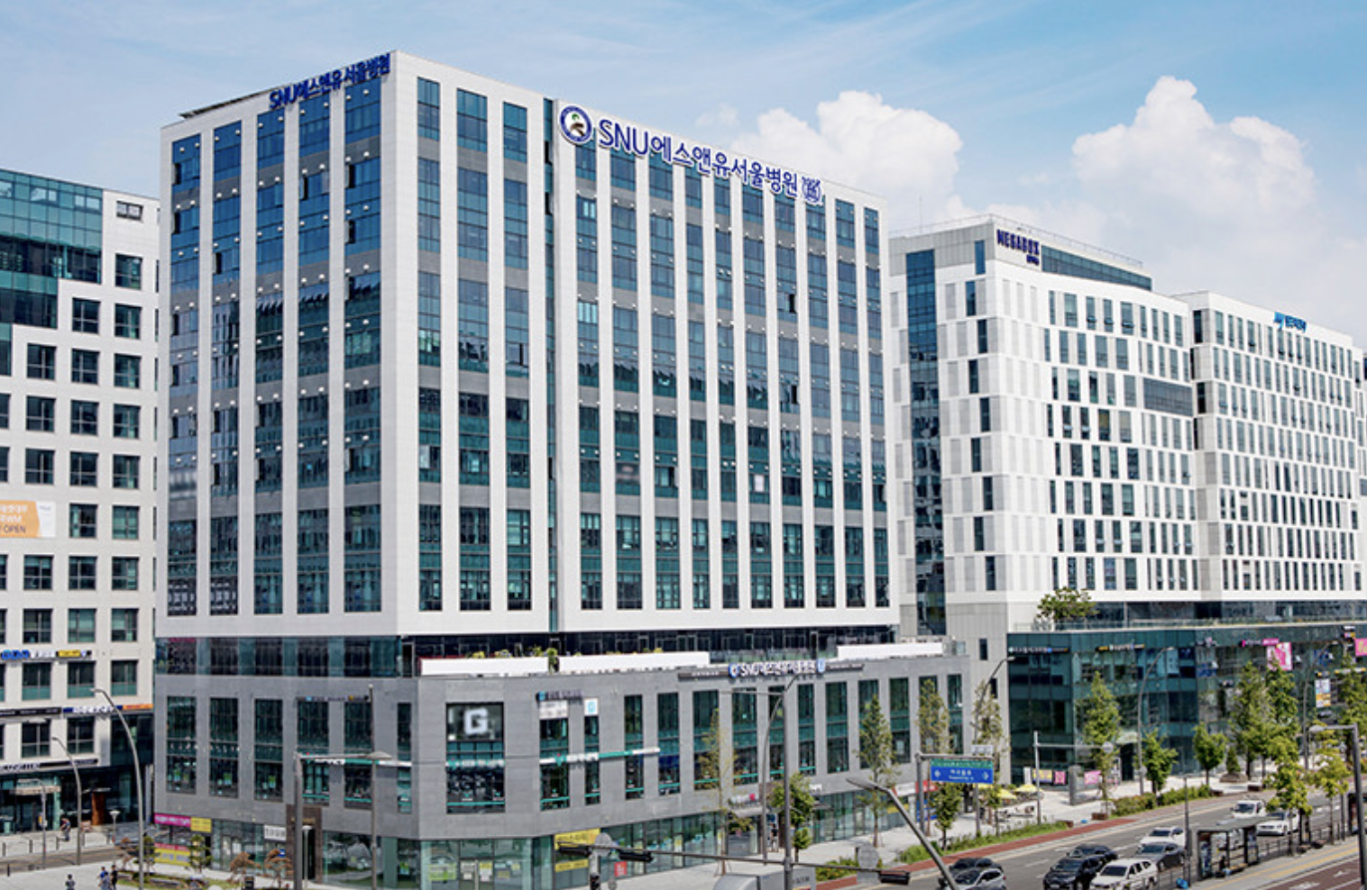 SNU Seoul Hospital
