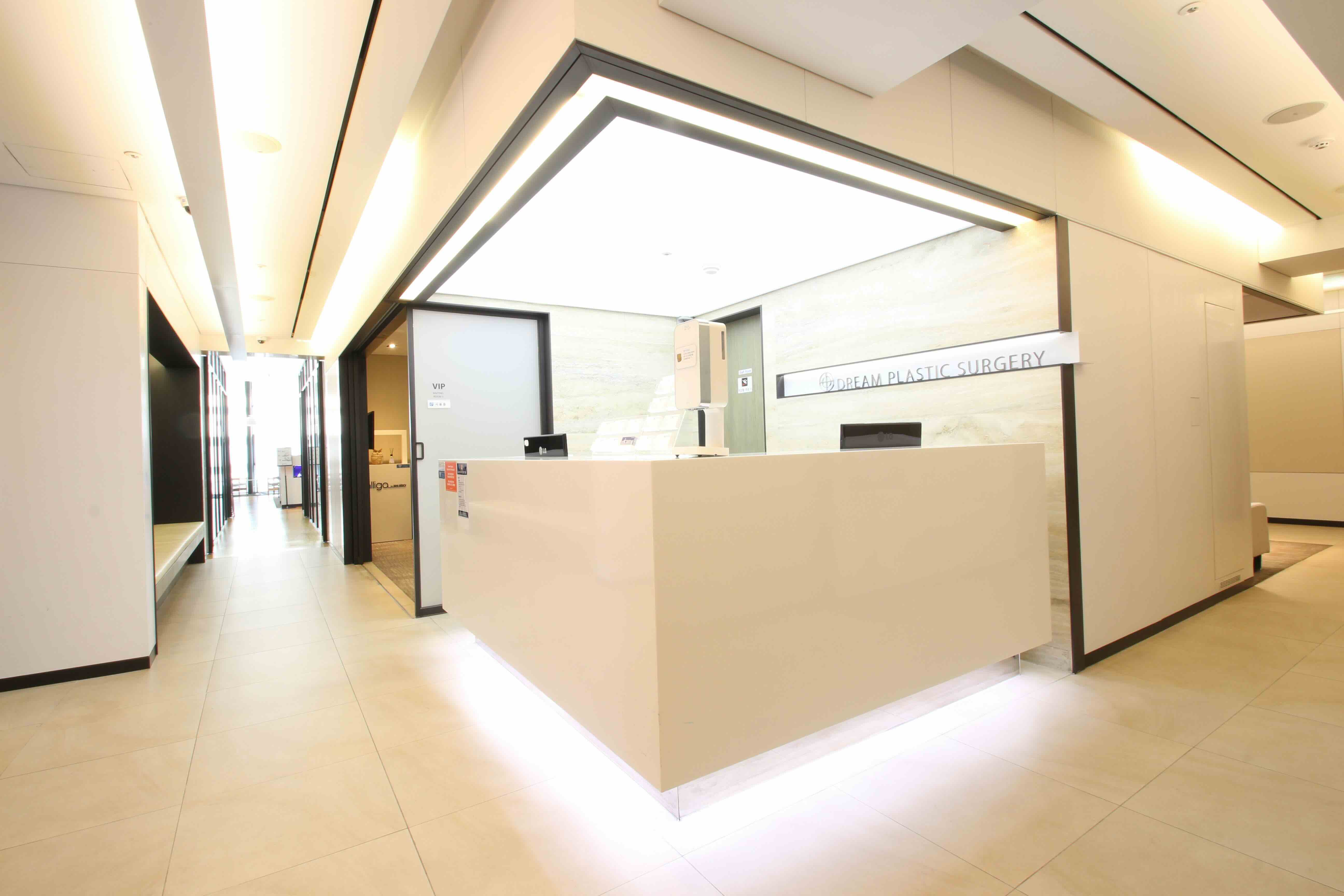 Dream Plastic Surgery (Dream Dermatology) 3
